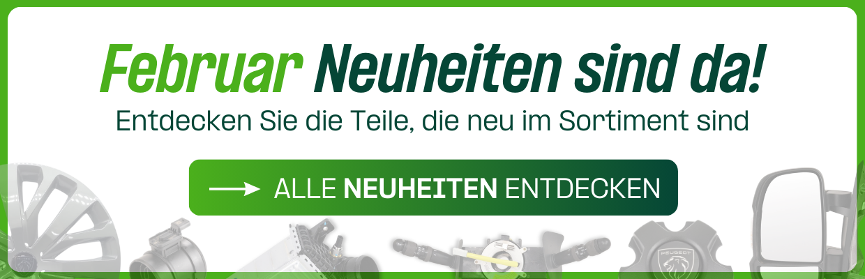 Entdecken Sie alle Neuheiten im Februar bei AUBIRI!